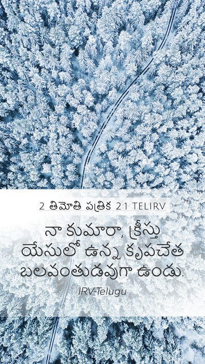 2 తిమోతి పత్రిక 2:1 TELIRV Bible Verse Image