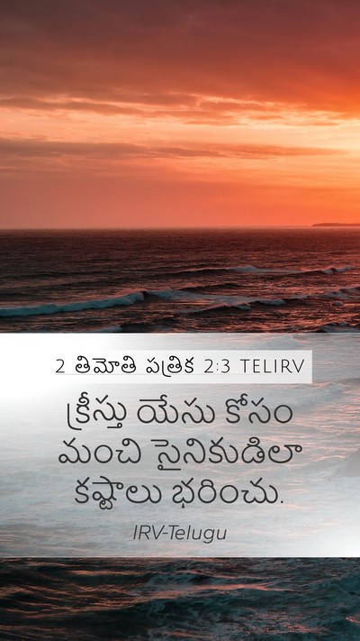 2 తిమోతి పత్రిక 2:3 TELIRV Bible Verse Image