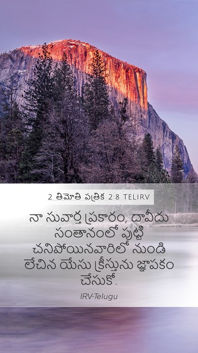 2 తిమోతి పత్రిక 2:8 TELIRV Mobile Phone Wallpaper - నా సువార్త - Mobile Bible Verse Wallpaper