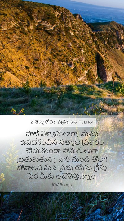 2 తెస్సలోనిక పత్రిక 3:6 TELIRV Bible Verse Image
