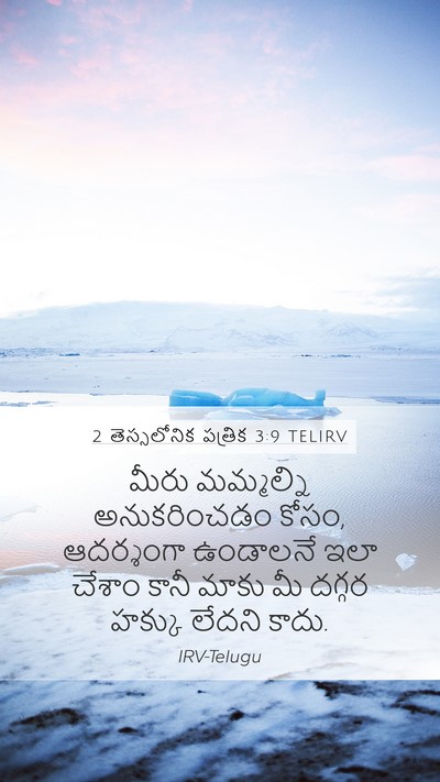 2 తెస్సలోనిక పత్రిక 3:9 TELIRV Bible Verse Image