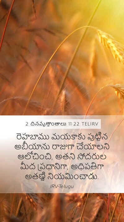 2 దినవృత్తాంతాలు 11:22 TELIRV Bible Verse Image