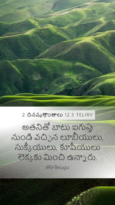 2 దినవృత్తాంతాలు 12:3 TELIRV Bible Verse Image