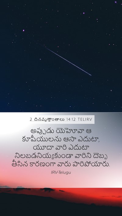 2 దినవృత్తాంతాలు 14:12 TELIRV Bible Verse Image