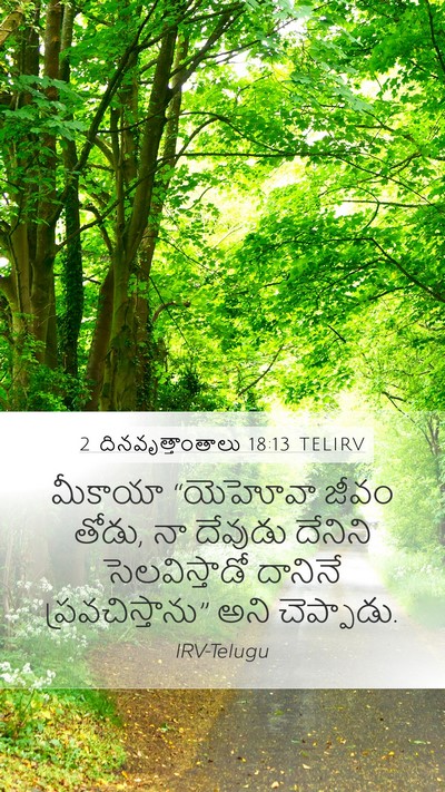 2 దినవృత్తాంతాలు 18:13 TELIRV Bible Verse Image