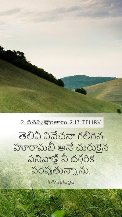 2 దినవృత్తాంతాలు 2:13 TELIRV Bible Verse Image