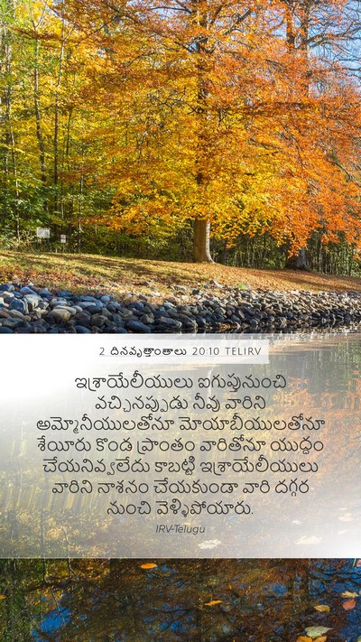 2 దినవృత్తాంతాలు 20:10 TELIRV Bible Verse Image