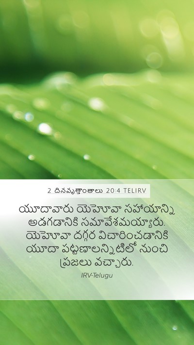 2 దినవృత్తాంతాలు 20:4 TELIRV Bible Verse Image