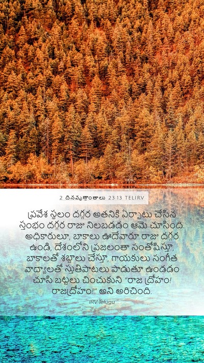 2 దినవృత్తాంతాలు 23:13 TELIRV Bible Verse Image