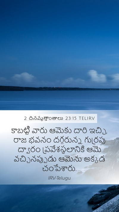 2 దినవృత్తాంతాలు 23:15 TELIRV Bible Verse Image