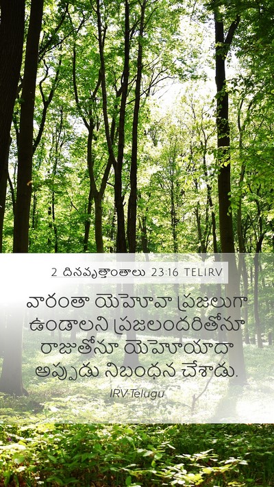 2 దినవృత్తాంతాలు 23:16 TELIRV Bible Verse Image