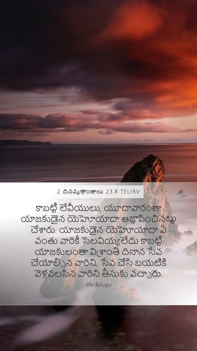 2 దినవృత్తాంతాలు 23:8 TELIRV Bible Verse Image