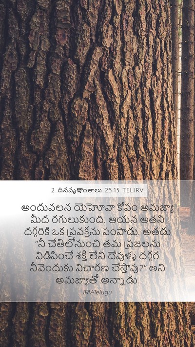 2 దినవృత్తాంతాలు 25:15 TELIRV Bible Verse Image