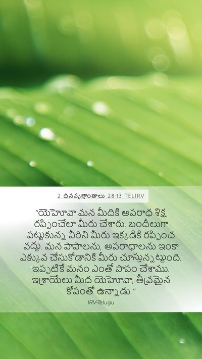 2 దినవృత్తాంతాలు 28:13 TELIRV Bible Verse Image