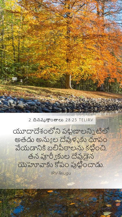 2 దినవృత్తాంతాలు 28:25 TELIRV Bible Verse Image