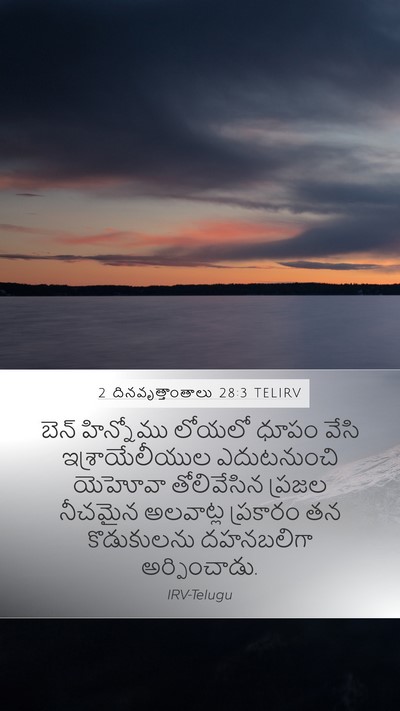 2 దినవృత్తాంతాలు 28:3 TELIRV Bible Verse Image
