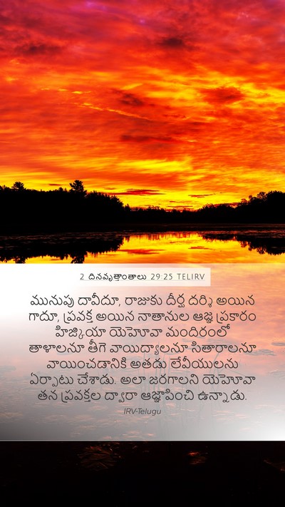 2 దినవృత్తాంతాలు 29:25 TELIRV Bible Verse Image