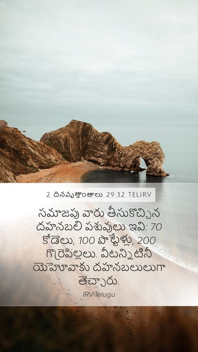 2 దినవృత్తాంతాలు 29:32 TELIRV Bible Verse Image