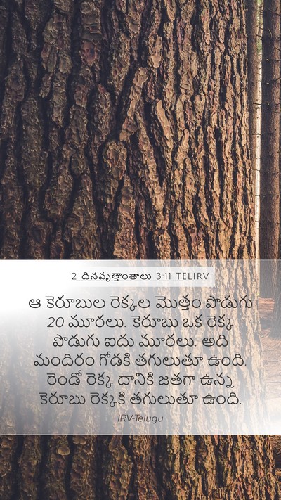 2 దినవృత్తాంతాలు 3:11 TELIRV Bible Verse Image