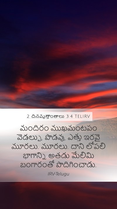 2 దినవృత్తాంతాలు 3:4 TELIRV Bible Verse Image