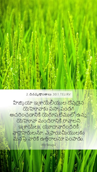 2 దినవృత్తాంతాలు 30:1 TELIRV Bible Verse Image