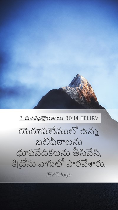 2 దినవృత్తాంతాలు 30:14 TELIRV Bible Verse Image