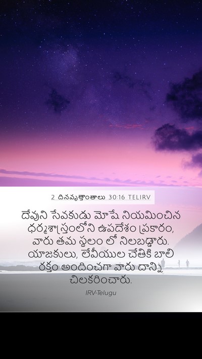 2 దినవృత్తాంతాలు 30:16 TELIRV Bible Verse Image