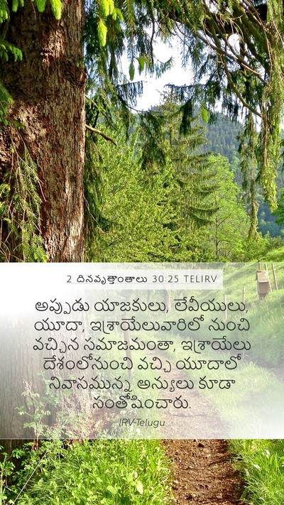 2 దినవృత్తాంతాలు 30:25 TELIRV Mobile Phone Wallpaper - అప్పుడు యాజకులు, - Mobile Bible Verse Wallpaper