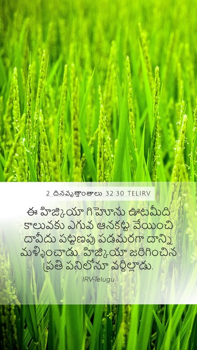 2 దినవృత్తాంతాలు 32:30 TELIRV Bible Verse Image