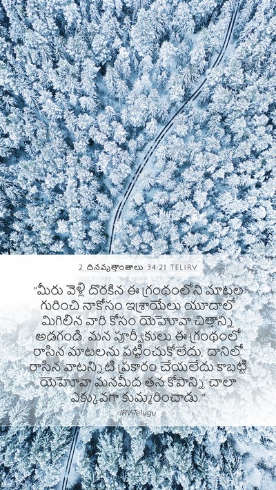 2 దినవృత్తాంతాలు 34:21 TELIRV Bible Verse Image