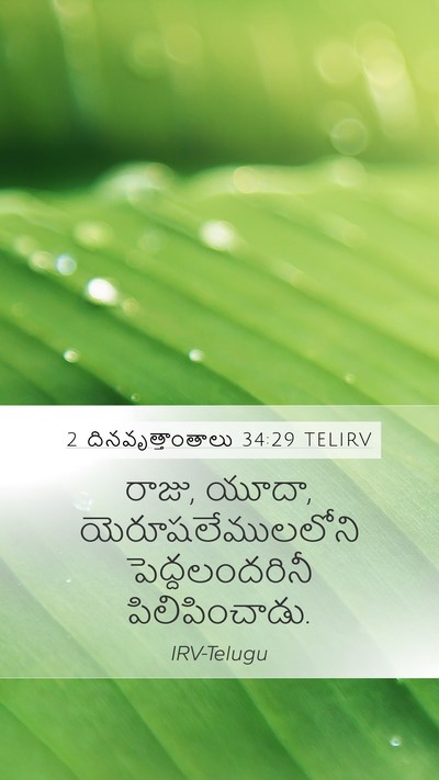 2 దినవృత్తాంతాలు 34:29 TELIRV Bible Verse Image