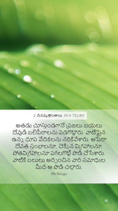 2 దినవృత్తాంతాలు 34:4 TELIRV Bible Verse Image