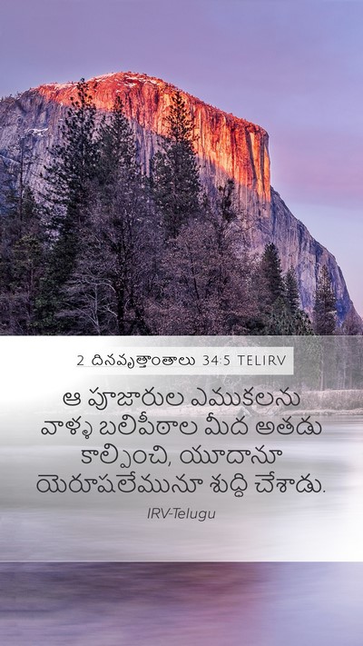 2 దినవృత్తాంతాలు 34:5 TELIRV Bible Verse Image