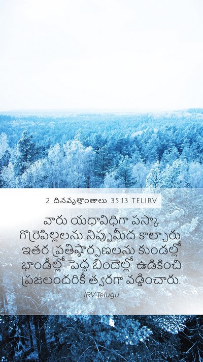 2 దినవృత్తాంతాలు 35:13 TELIRV Bible Verse Image