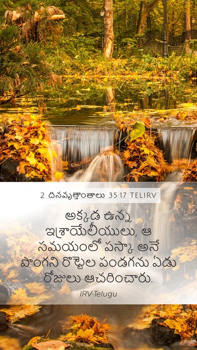 2 దినవృత్తాంతాలు 35:17 TELIRV Bible Verse Image