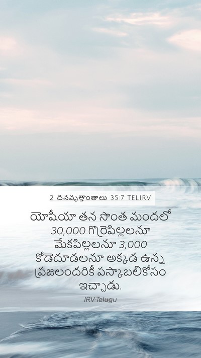 2 దినవృత్తాంతాలు 35:7 TELIRV Mobile Phone Wallpaper - యోషీయా తన సొంత - Mobile Bible Verse Wallpaper
