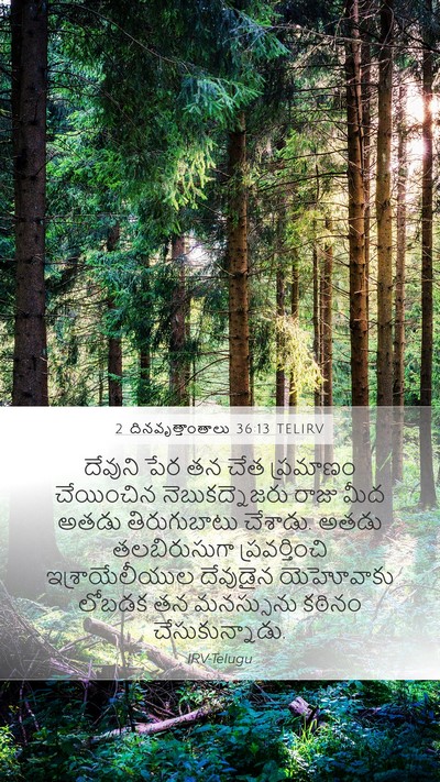 2 దినవృత్తాంతాలు 36:13 TELIRV Bible Verse Image