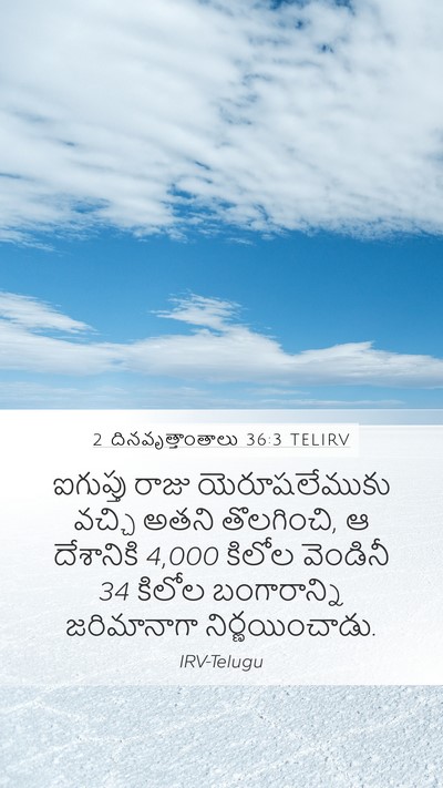 2 దినవృత్తాంతాలు 36:3 TELIRV Bible Verse Image