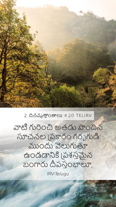 2 దినవృత్తాంతాలు 4:20 TELIRV Bible Verse Image
