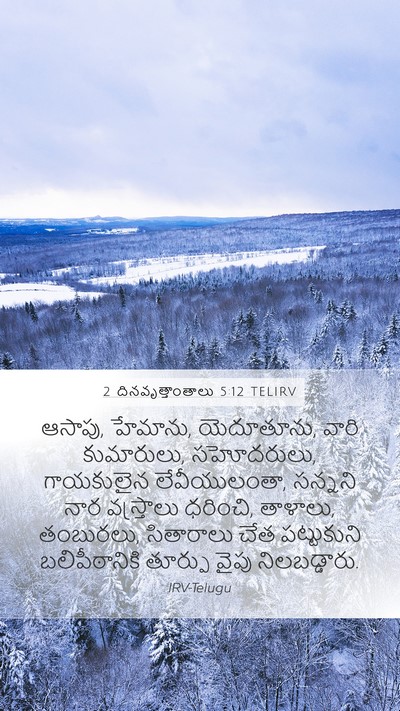 2 దినవృత్తాంతాలు 5:12 TELIRV Bible Verse Image