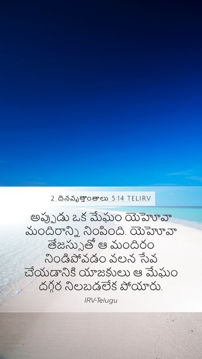 2 దినవృత్తాంతాలు 5:14 TELIRV Bible Verse Image