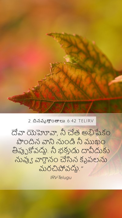 2 దినవృత్తాంతాలు 6:42 TELIRV Bible Verse Image