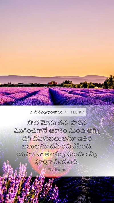 2 దినవృత్తాంతాలు 7:1 TELIRV Bible Verse Image