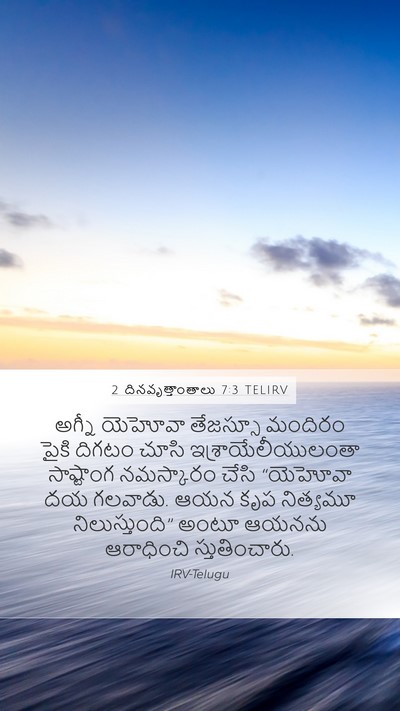 2 దినవృత్తాంతాలు 7:3 TELIRV Bible Verse Image