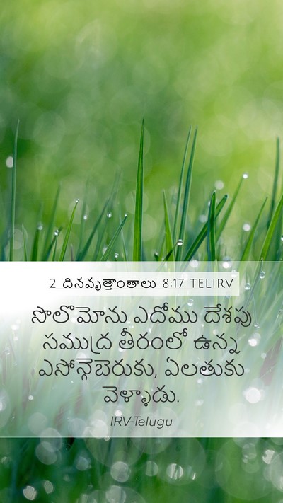 2 దినవృత్తాంతాలు 8:17 TELIRV Bible Verse Image
