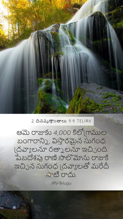 2 దినవృత్తాంతాలు 9:9 TELIRV Bible Verse Image