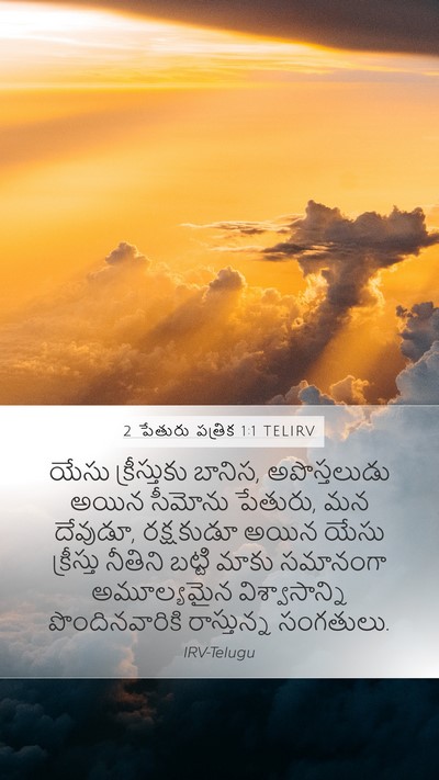2 పేతురు పత్రిక 1:1 TELIRV Bible Verse Image
