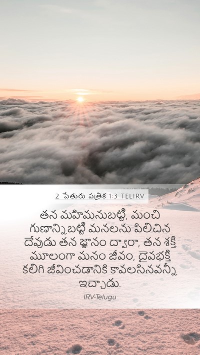 2 పేతురు పత్రిక 1:3 TELIRV Bible Verse Image