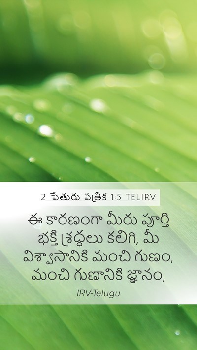 2 పేతురు పత్రిక 1:5 TELIRV Bible Verse Image