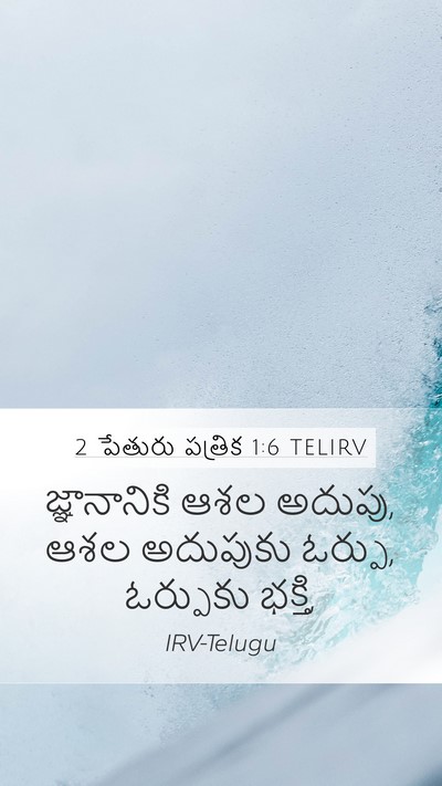 2 పేతురు పత్రిక 1:6 TELIRV Mobile Phone Wallpaper - జ్ఞానానికి ఆశల - Mobile Bible Verse Wallpaper